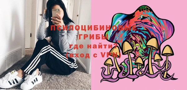 Альфа ПВП Аркадак